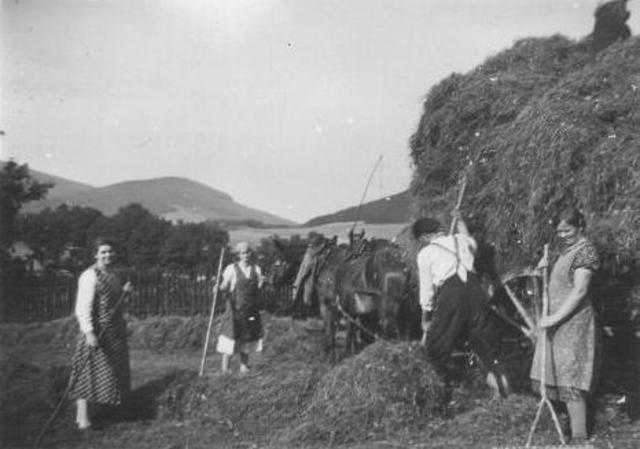 Heuernte 1938 an Dolberg