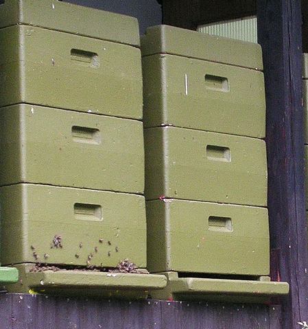 Bienenstand mit Kunststoffbeuten von Arndt Weber