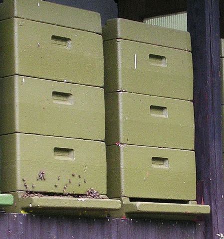 Bienenstand mit Kunststoffbeuten von Arndt Weber 