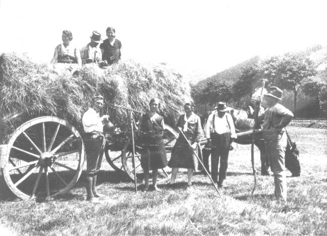 Heuernte in den 1930er Jahren