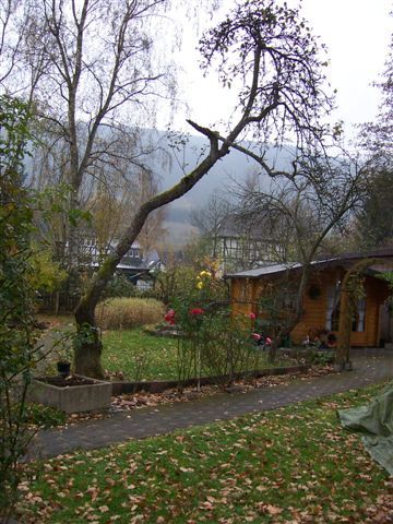 Das Fragment des Apfelbaumes in Müllers Garten.