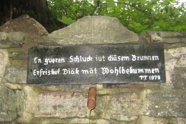 Nicht nur den Saalhausern bekannt: Der Brunnen am Bräukelken.