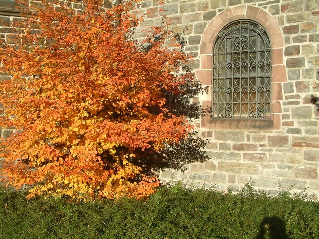 Kirchenfenster St. Jodokus, Saalhausen