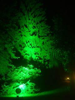 DSCF0006.JPG.jpg