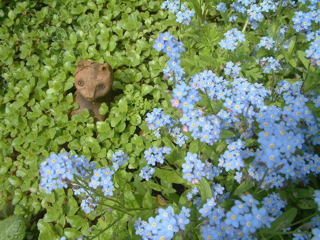 DSCF0026.JPG.jpg